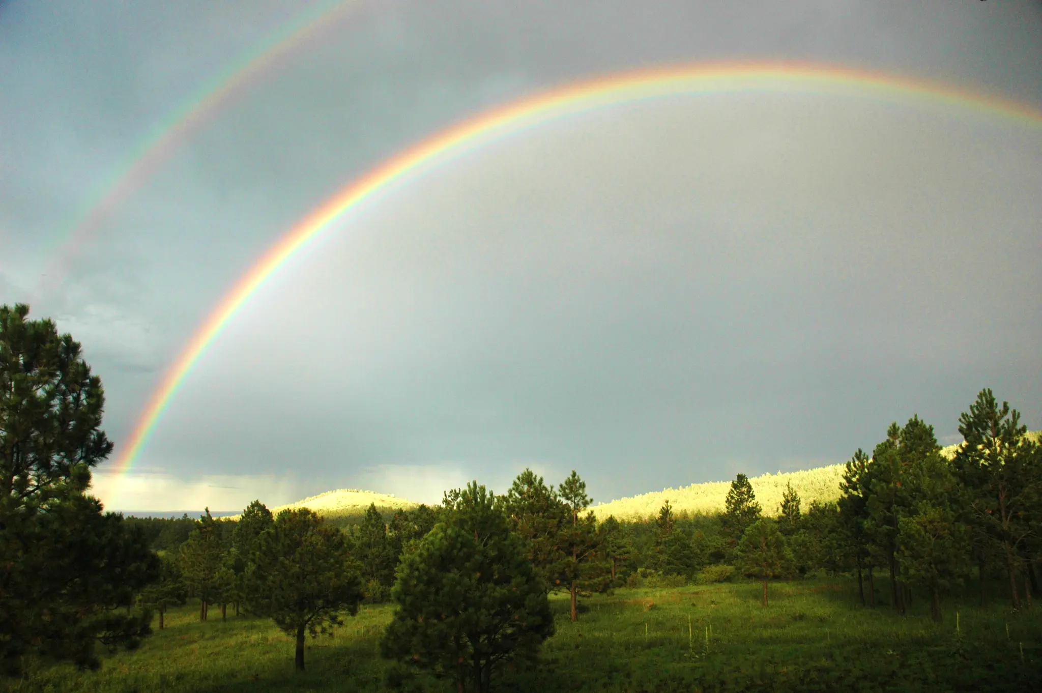 Homes for Sale in the White Mountains, AZ: A Buyer's Map of the High Country