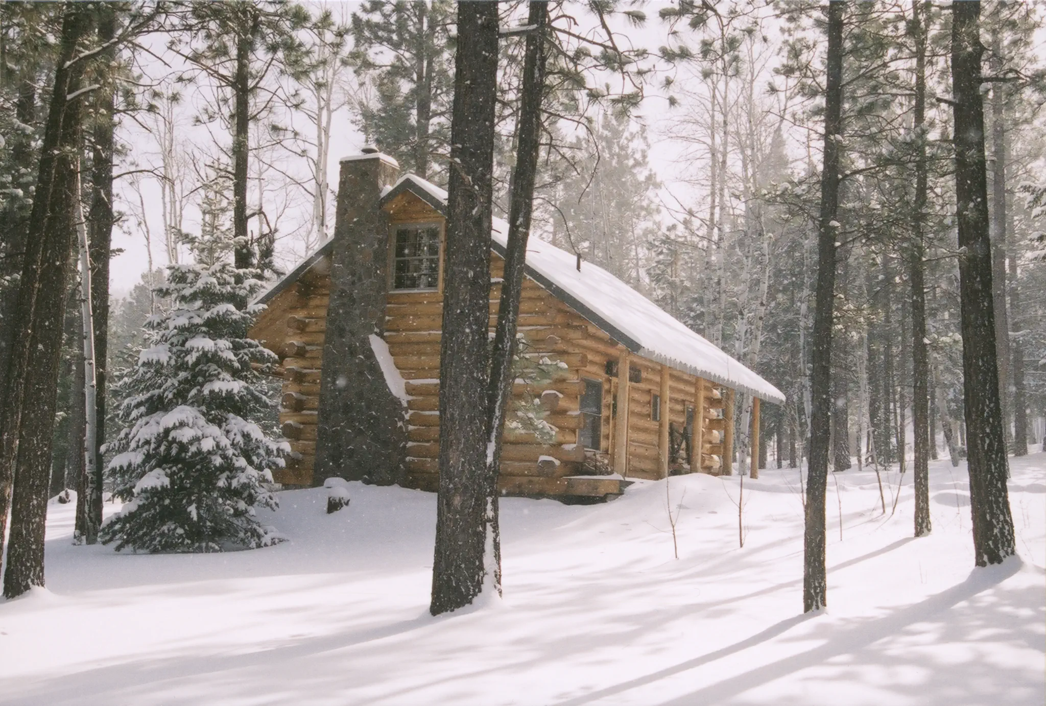 Greer AZ Weather: A Month-by-Month Guide to Arizona's Coolest Town