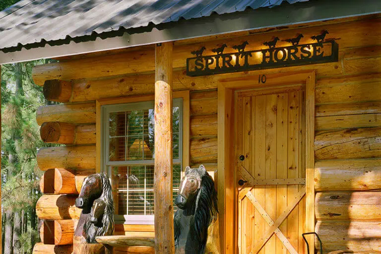 Spirit Horse