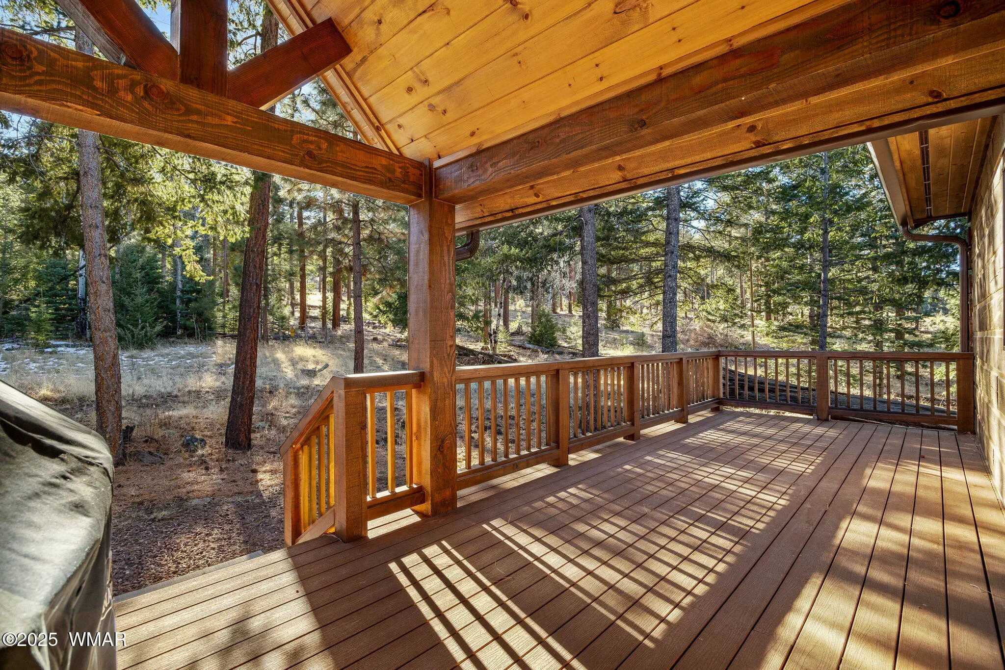 90CountyRd1330-Greer-AZ-31
