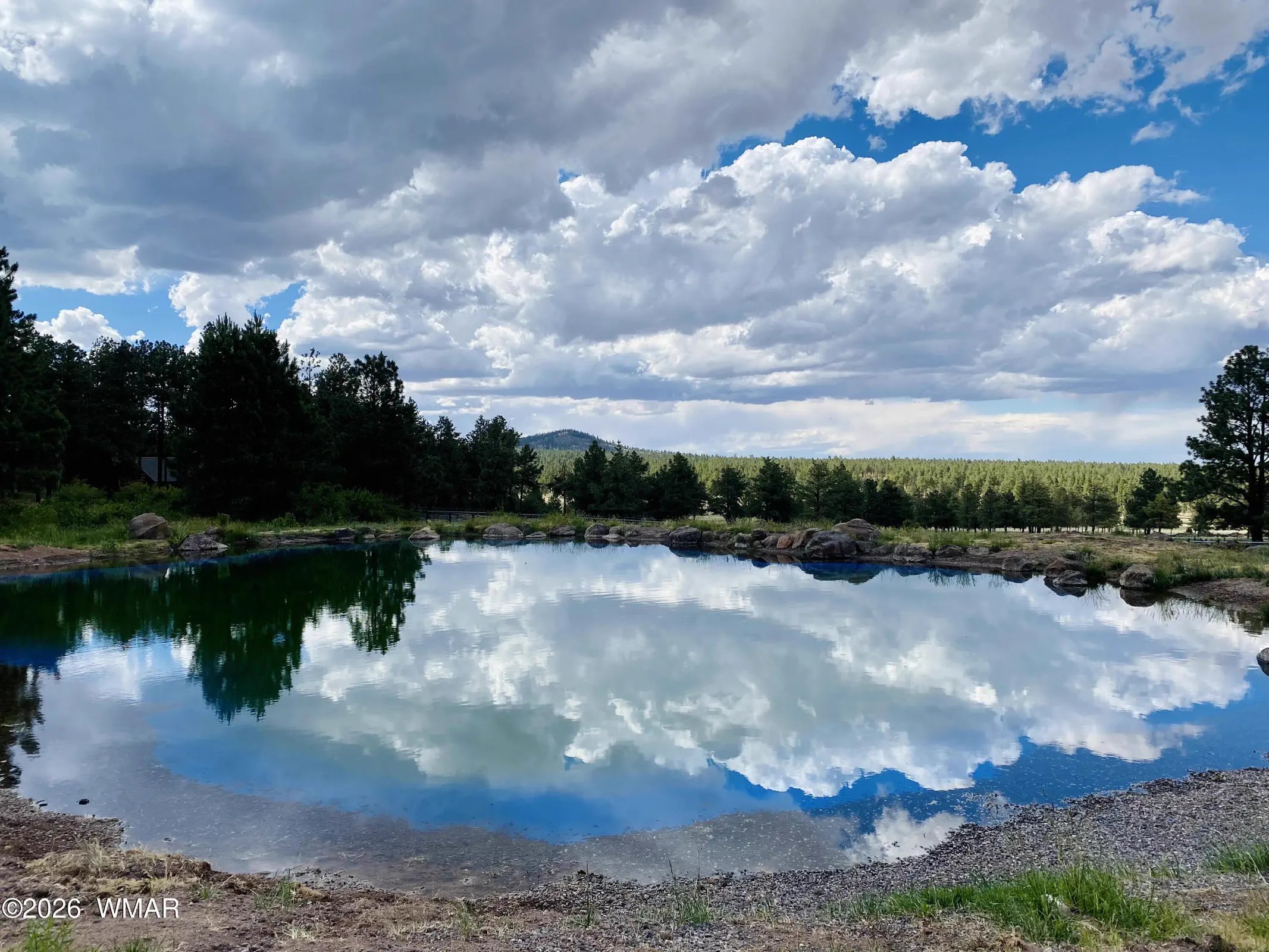 Trout Pond