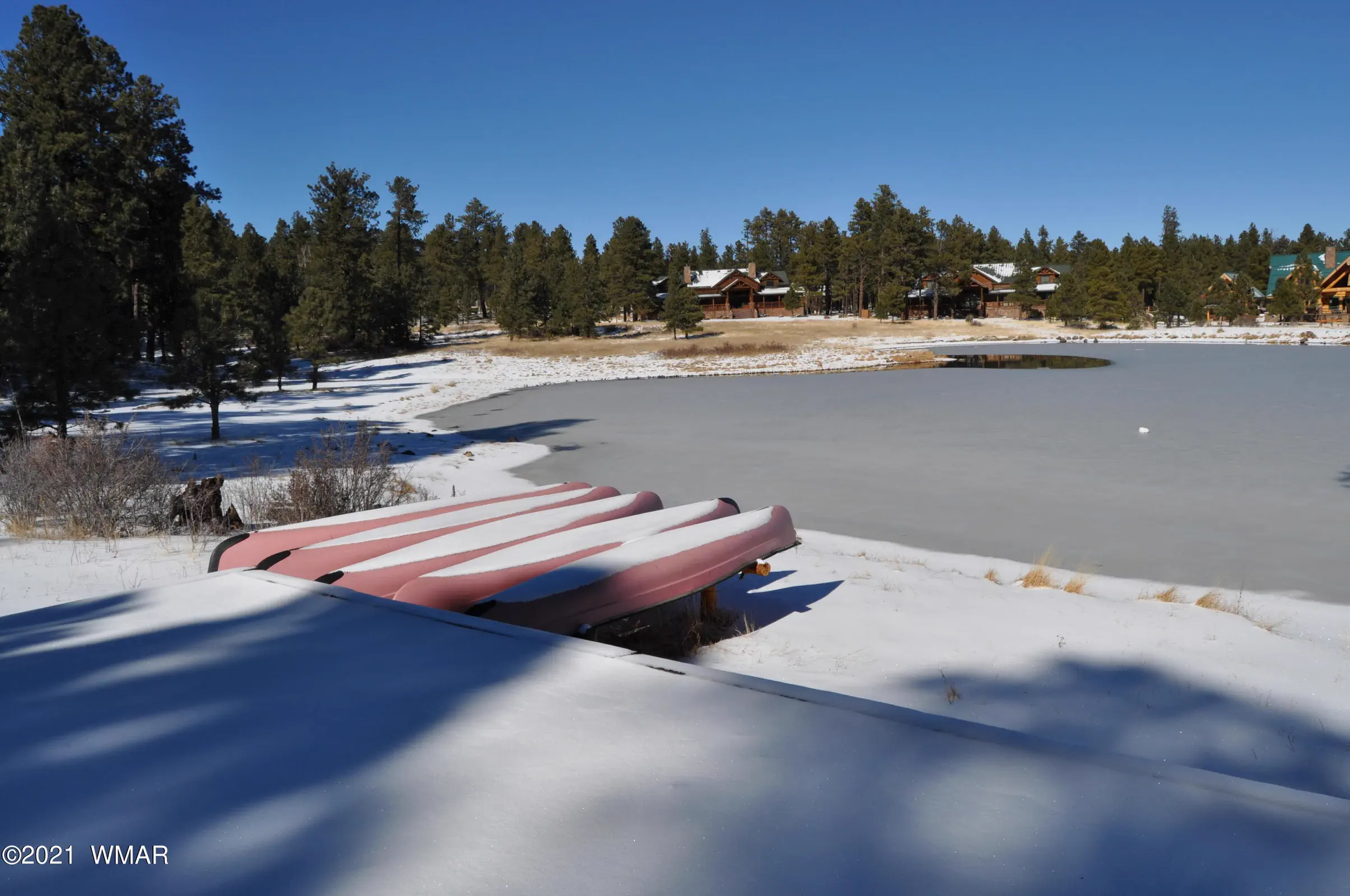 Pond