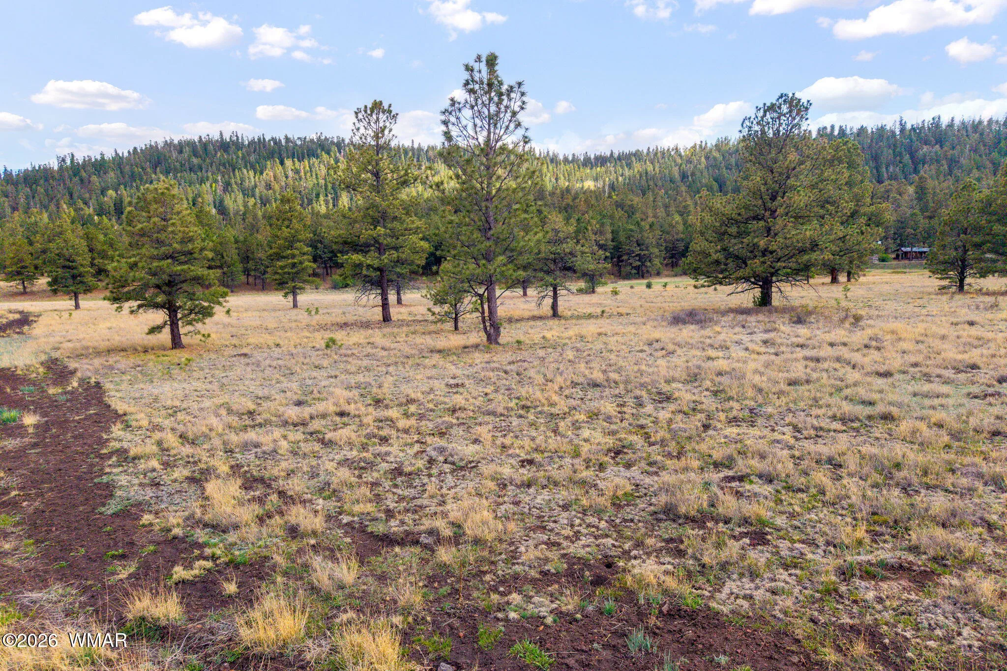 Parcel10330035A-Greer-AZ-3
