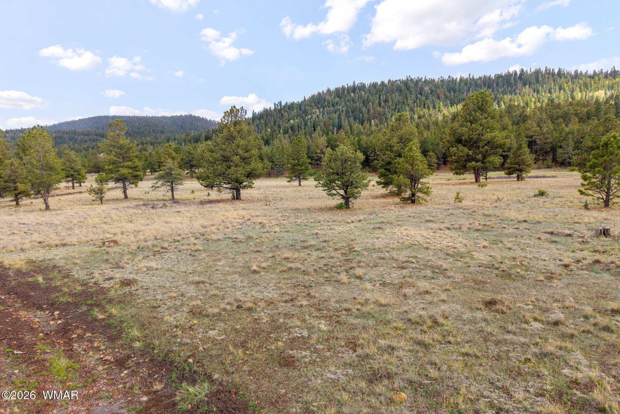 Parcel10330035A-Greer-AZ-2