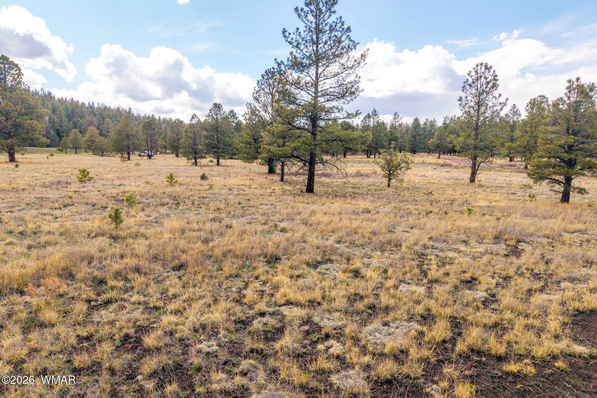 Parcel10330035A-Greer-AZ-4