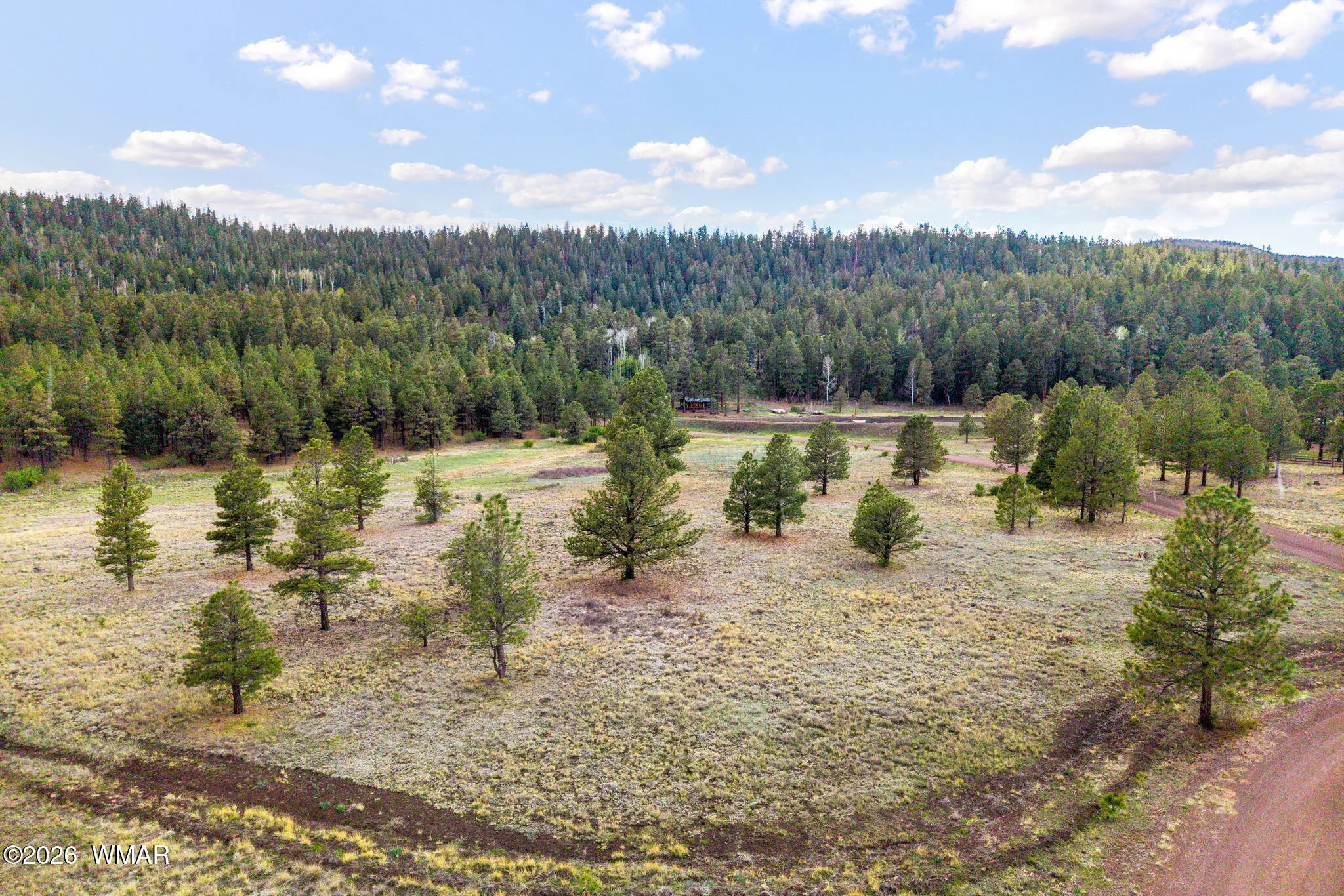 Parcel10330035A-Greer-AZ-11