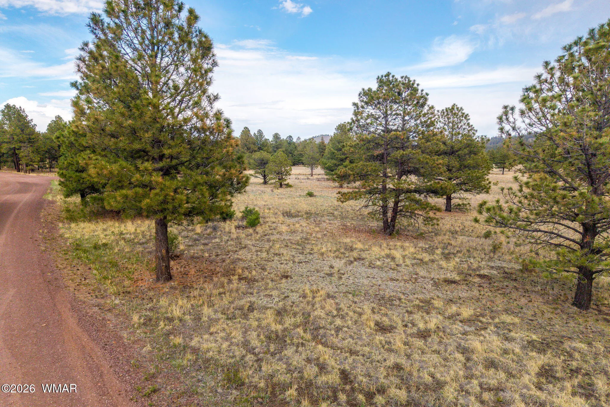 Parcel10330035A-Greer-AZ-1
