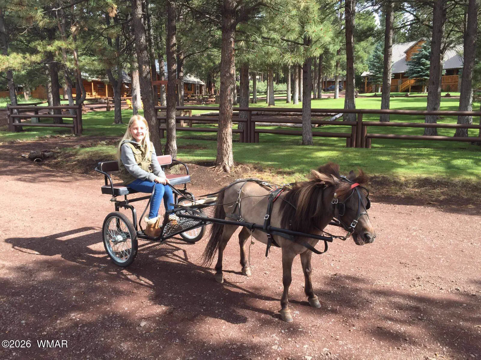 Horse Fun