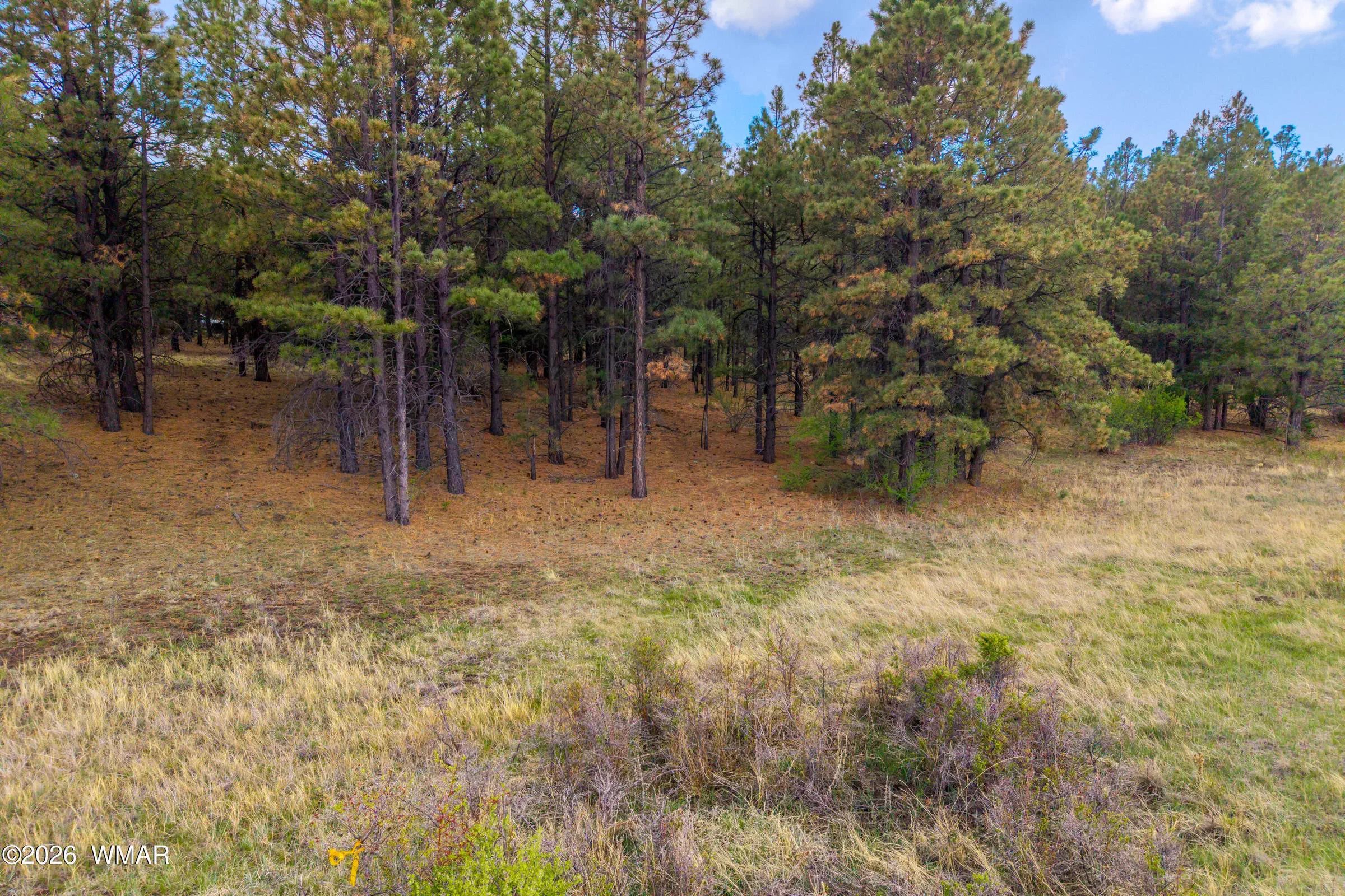 31CountyRdN1330-Greer-AZ-2