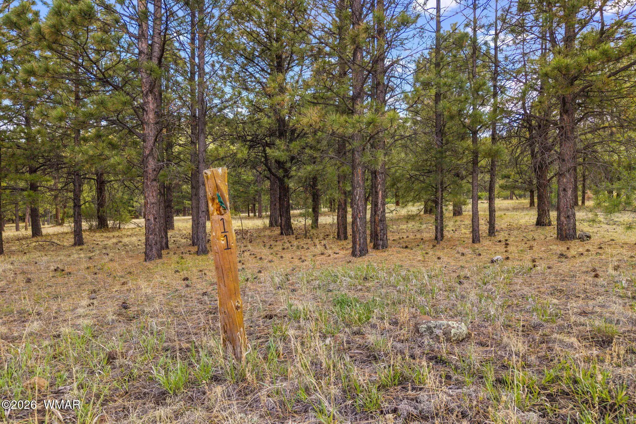 44CountyRdN1330-Greer-AZ-2
