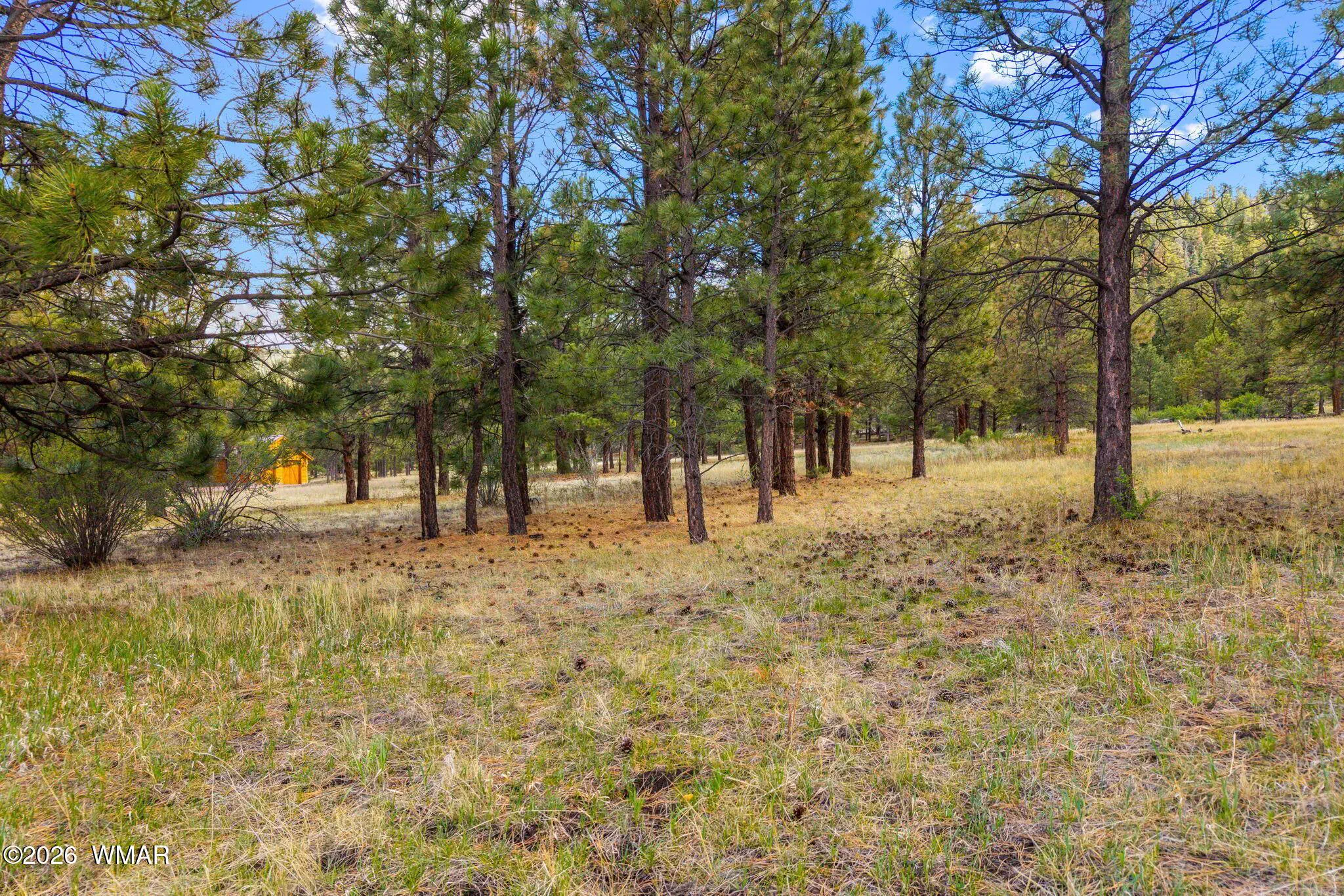 44CountyRdN1330-Greer-AZ-3