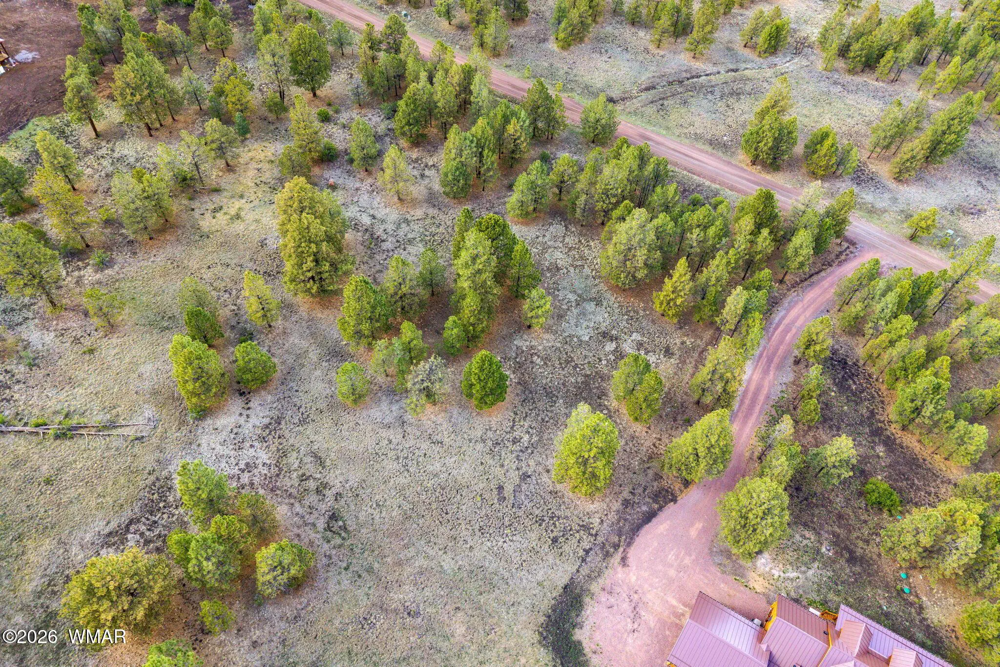 44CountyRdN1330-Greer-AZ-8