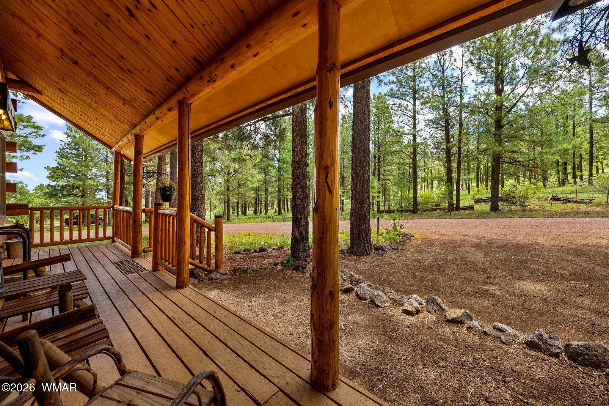 View of National Forest From Patio