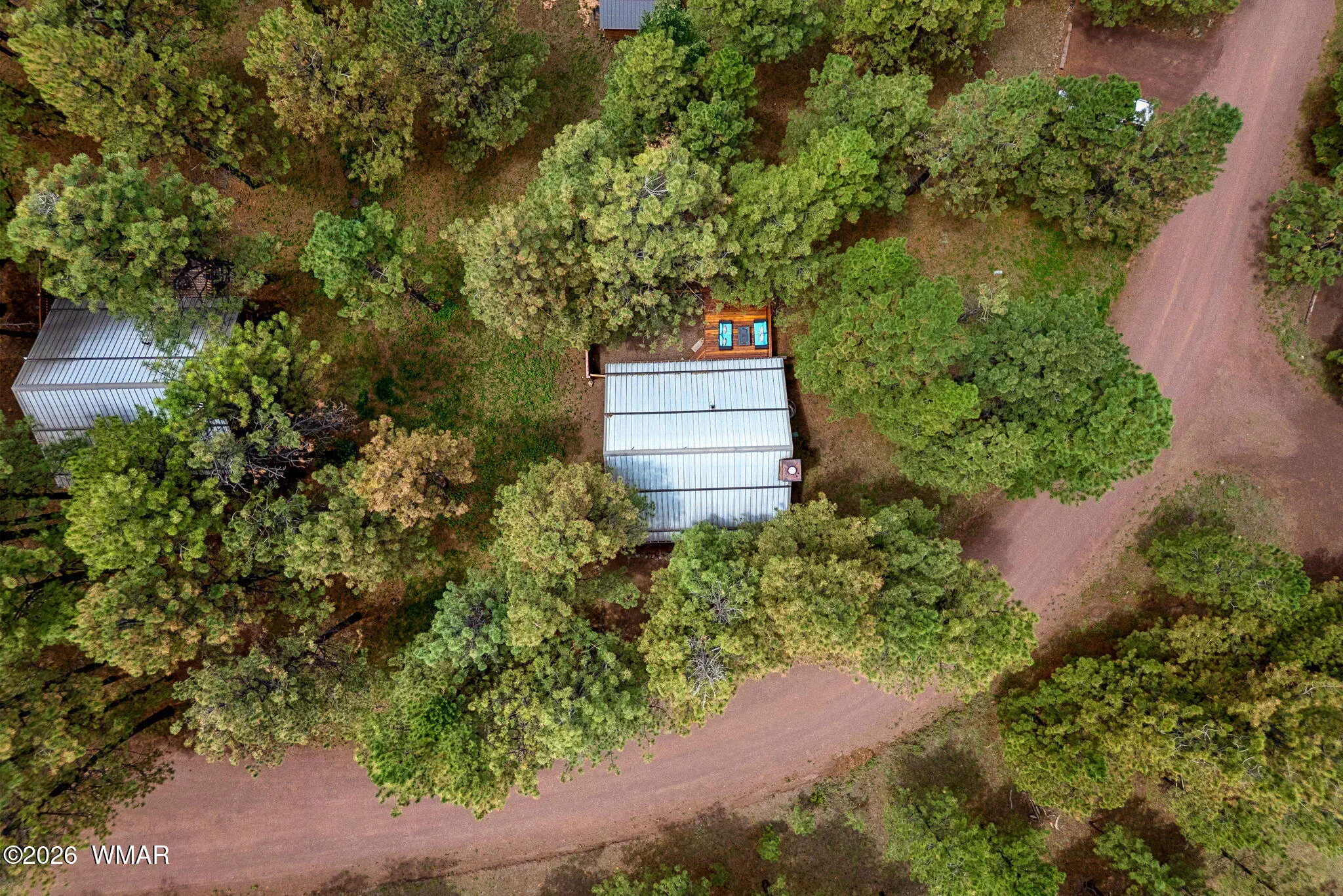 Forest Lot
